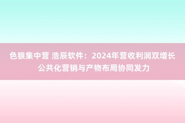 色狼集中营 浩辰软件：2024年营收利润双增长 公共化营销与产物布局协同发力