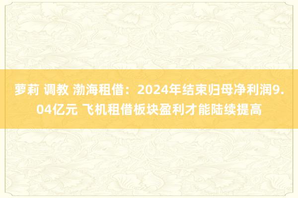 萝莉 调教 渤海租借：2024年结束归母净利润9.04亿元 飞机租借板块盈利才能陆续提高
