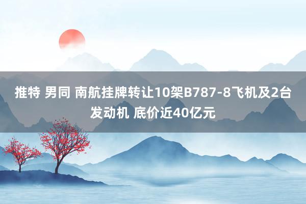 推特 男同 南航挂牌转让10架B787-8飞机及2台发动机 底价近40亿元
