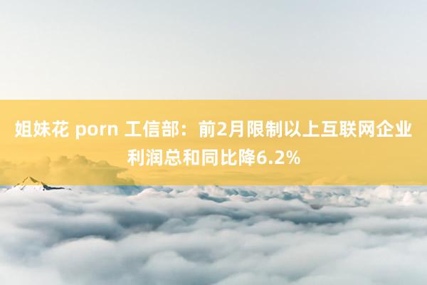 姐妹花 porn 工信部：前2月限制以上互联网企业利润总和同比降6.2%