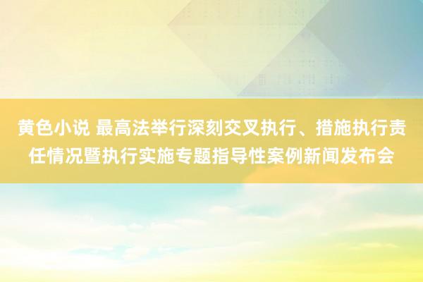 黄色小说 最高法举行深刻交叉执行、措施执行责任情况暨执行实施专题指导性案例新闻发布会