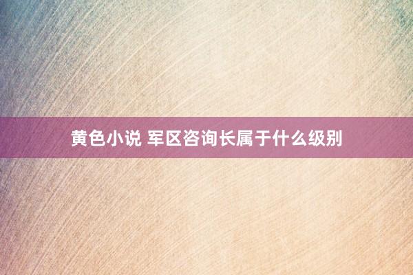 黄色小说 军区咨询长属于什么级别