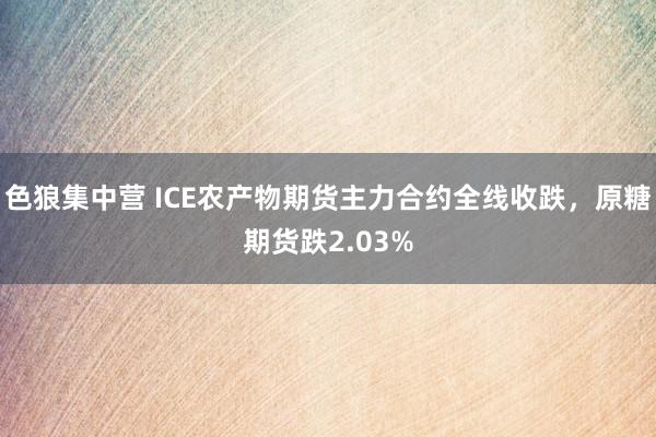 色狼集中营 ICE农产物期货主力合约全线收跌，原糖期货跌2.03%