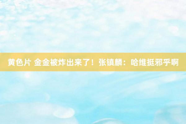 黄色片 金金被炸出来了！张镇麟：哈维挺邪乎啊
