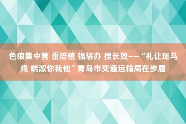 色狼集中营 重培植 强惩办 捏长效——“礼让斑马线 端淑你我他”青岛市交通运输局在步履