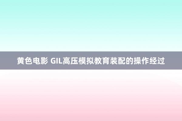 黄色电影 GIL高压模拟教育装配的操作经过