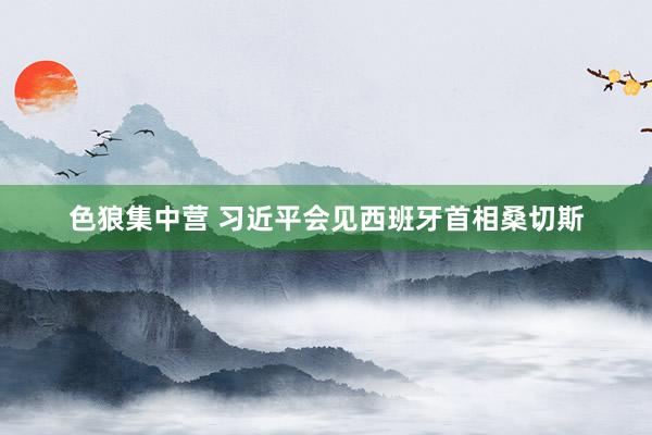 色狼集中营 习近平会见西班牙首相桑切斯