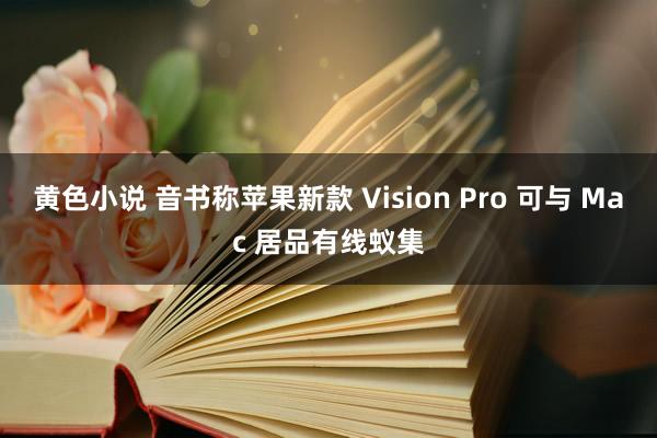 黄色小说 音书称苹果新款 Vision Pro 可与 Mac 居品有线蚁集