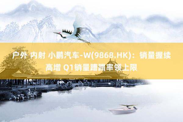 户外 内射 小鹏汽车-W(9868.HK)：销量握续高增 Q1销量蹧蹋率领上限