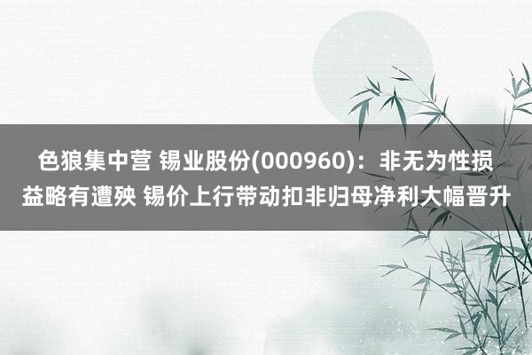 色狼集中营 锡业股份(000960)：非无为性损益略有遭殃 锡价上行带动扣非归母净利大幅晋升