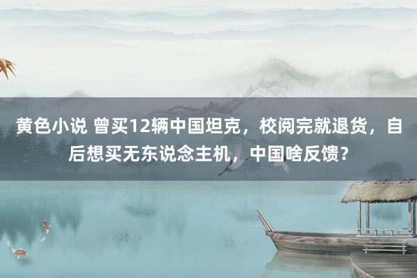 黄色小说 曾买12辆中国坦克，校阅完就退货，自后想买无东说念主机，中国啥反馈？