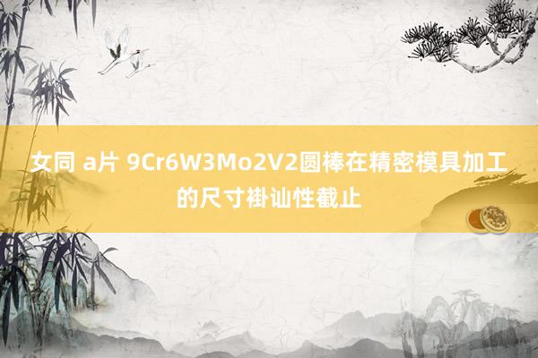 女同 a片 9Cr6W3Mo2V2圆棒在精密模具加工的尺寸褂讪性截止