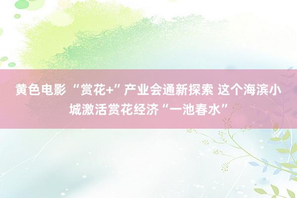 黄色电影 “赏花+”产业会通新探索 这个海滨小城激活赏花经济“一池春水”