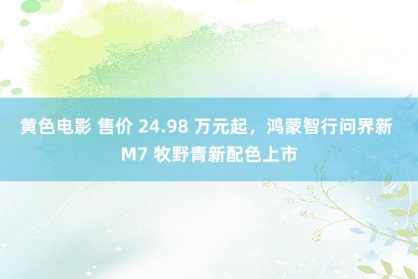 黄色电影 售价 24.98 万元起，鸿蒙智行问界新 M7 牧野青新配色上市