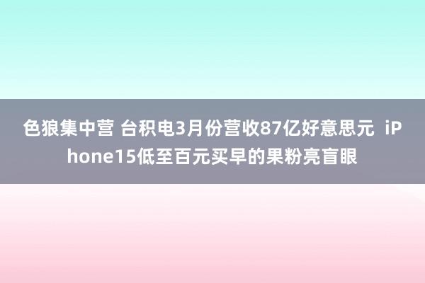色狼集中营 台积电3月份营收87亿好意思元  iPhone15低至百元买早的果粉亮盲眼