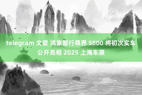 telegram 文爱 鸿蒙智行尊界 S800 将初次实车公开亮相 2025 上海车展