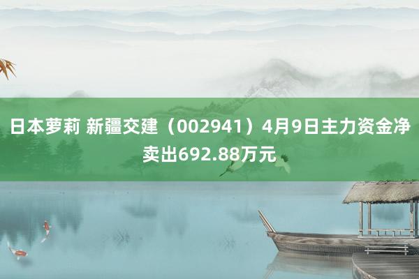 日本萝莉 新疆交建（002941）4月9日主力资金净卖出692.88万元