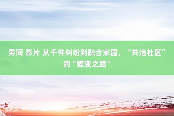 男同 影片 从千件纠纷到融合家园，“共治社区”的“蝶变之路”