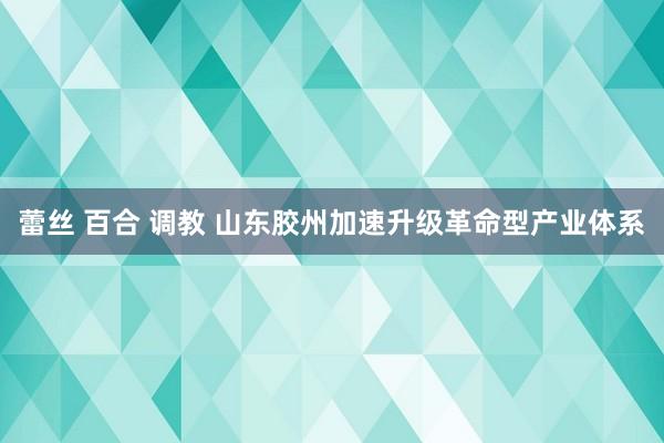 蕾丝 百合 调教 山东胶州加速升级革命型产业体系
