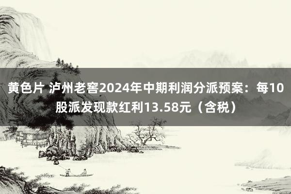 黄色片 泸州老窖2024年中期利润分派预案：每10股派发现款红利13.58元（含税）