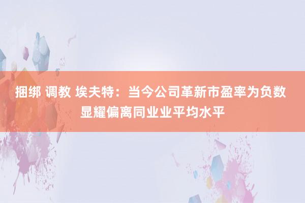 捆绑 调教 埃夫特：当今公司革新市盈率为负数 显耀偏离同业业平均水平