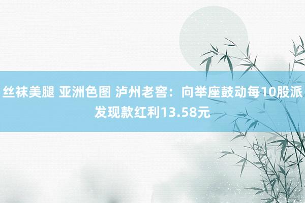 丝袜美腿 亚洲色图 泸州老窖：向举座鼓动每10股派发现款红利13.58元