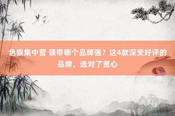 色狼集中营 领带哪个品牌强？这4款深受好评的品牌，选对了宽心