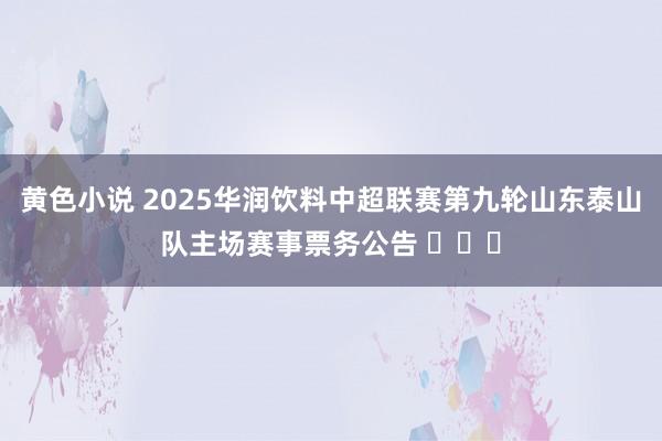 黄色小说 2025华润饮料中超联赛第九轮山东泰山队主场赛事票务公告 ​​​
