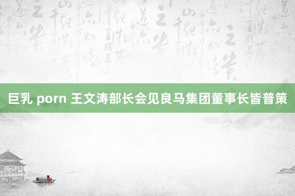 巨乳 porn 王文涛部长会见良马集团董事长皆普策