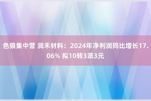 色狼集中营 润禾材料：2024年净利润同比增长17.06% 拟10转3派3元