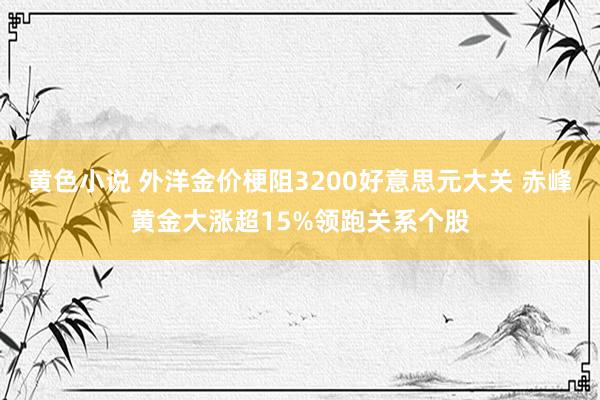 黄色小说 外洋金价梗阻3200好意思元大关 赤峰黄金大涨超15%领跑关系个股