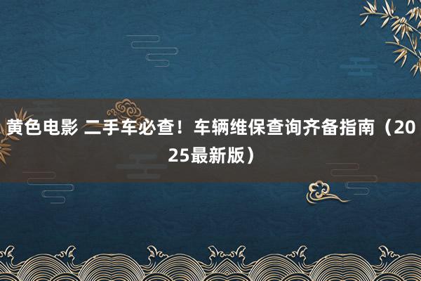 黄色电影 二手车必查！车辆维保查询齐备指南（2025最新版）