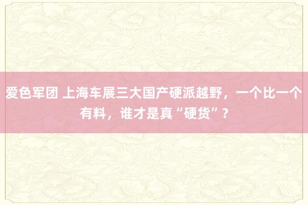 爱色军团 上海车展三大国产硬派越野，一个比一个有料，谁才是真“硬货”？