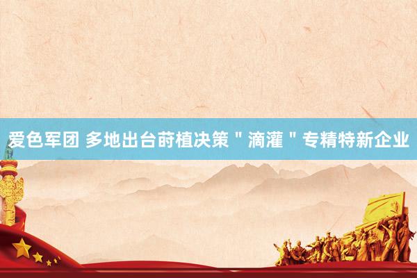 爱色军团 多地出台莳植决策＂滴灌＂专精特新企业