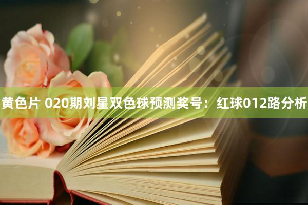 黄色片 020期刘星双色球预测奖号：红球012路分析
