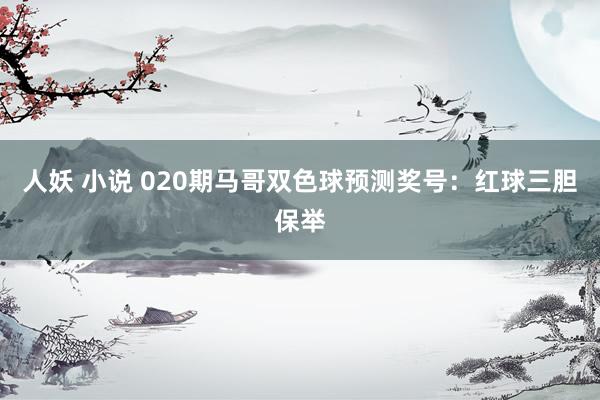人妖 小说 020期马哥双色球预测奖号：红球三胆保举