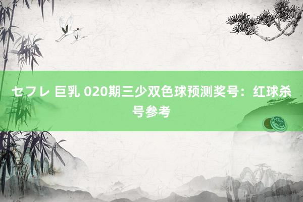 セフレ 巨乳 020期三少双色球预测奖号：红球杀号参考